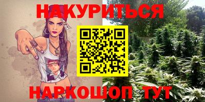 гидра Моздок