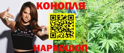 гидра Моздок