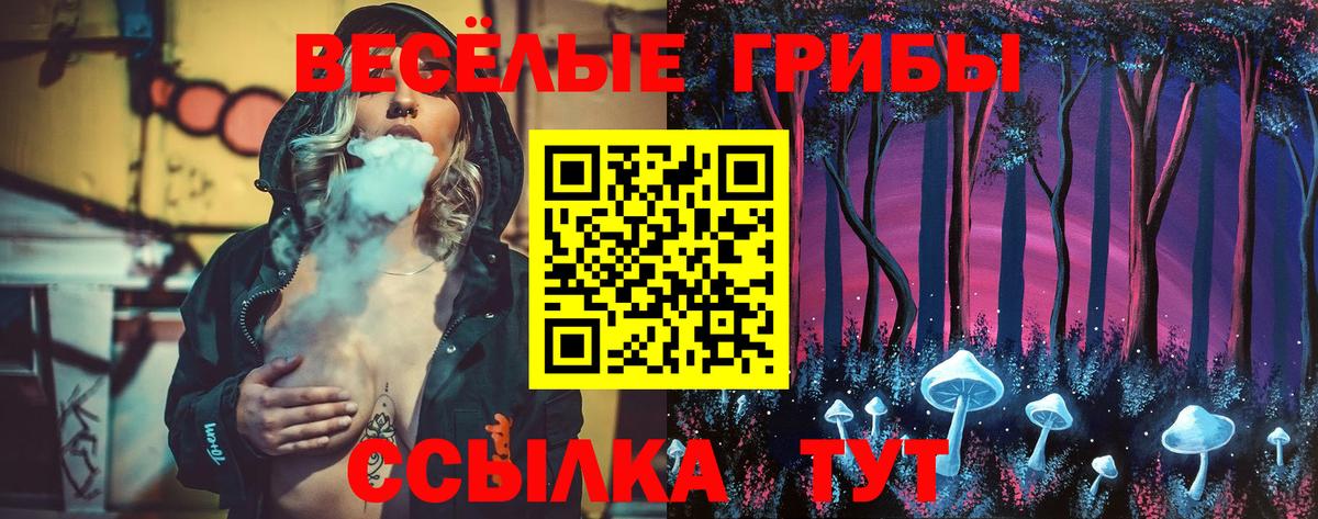 Псилоцибиновые грибы Cubensis  Вход с VPN  Унеча 