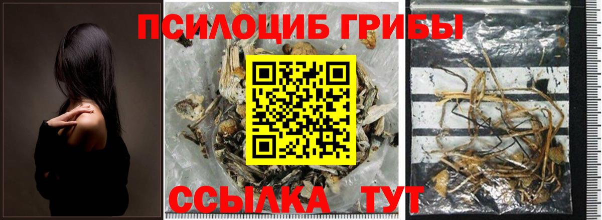 Псилоцибиновые грибы GOLDEN TEACHER Унеча